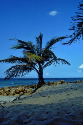 Beach North of Dar es Salaam