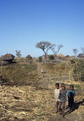 Tana Beles resettlement, 1988