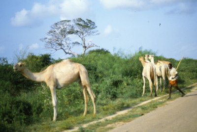 Along the southern route