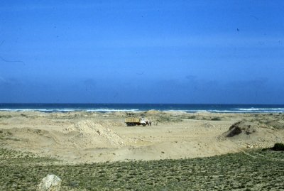 Beach South of Mogadishu