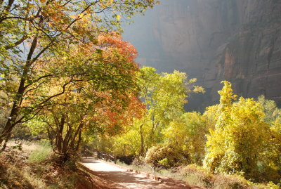 Zion National Park