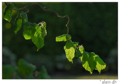 DSC_2360-1-web.jpg