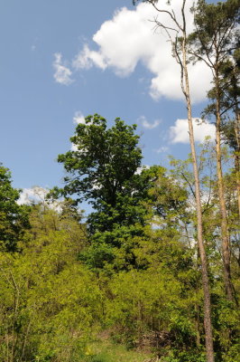 pb-DSC_3083.jpg