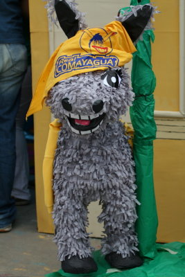 The mascot of Comayagua, un burro!