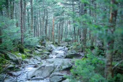 NH07_web10.jpg