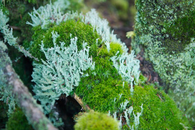 NH07_web11.jpg