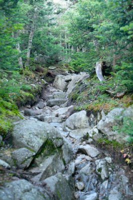 NH07_web15.jpg