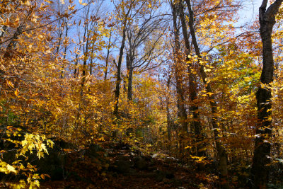 NH07_web17.jpg