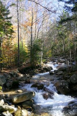 NH07_web31.jpg