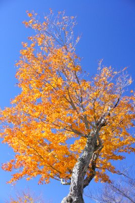 NH07_web38.jpg