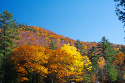 NH07_web40.jpg