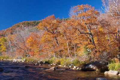 NH07_web41.jpg