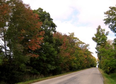 The last day of summer and the trees are beginning to turn