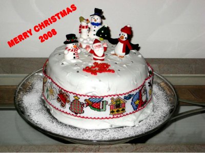 2008 cake 1