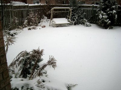 January 7 2009 and we don't have to mow the lawn