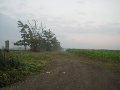 one misty morning in August . . .