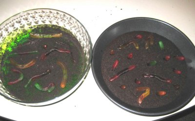 Worms in dirt and pond slime for lunch!