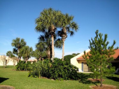 The view from our villa