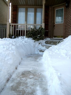9th March It was all level with the porch this morning!