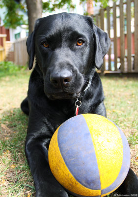 Ropey's Ball