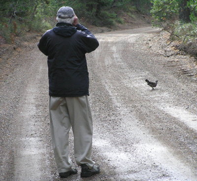 George Neavoll with Zen bird (Spruce Grouse)