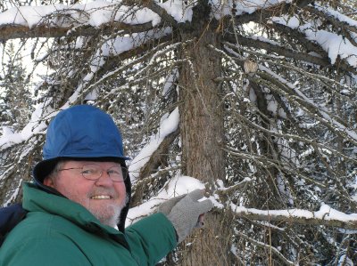 Mighty Mike with puffball pine cone