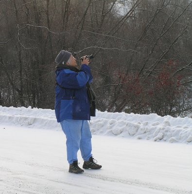 Amicable Anne Marie with Redpolls