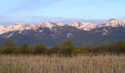 Wallowas along Hwy 82 near Joseph