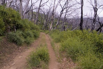 24 After Milk Ranch Looking Back.jpg