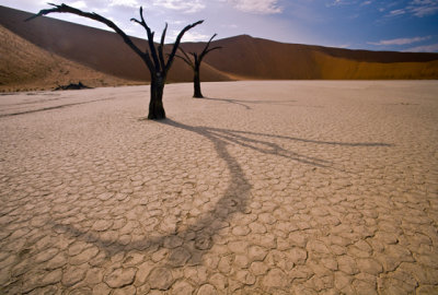 Dead vlei 2.jpg