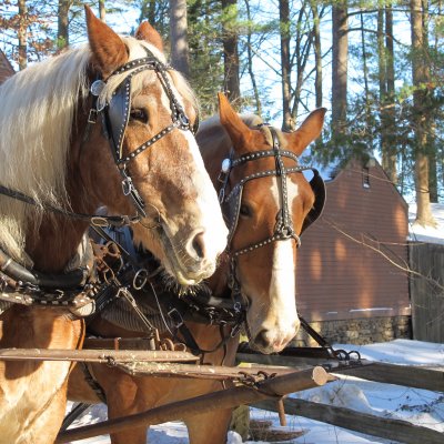 Sturbridge Village