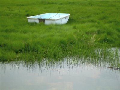 Boat in the Grass