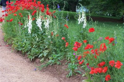 Gardens at Monticello