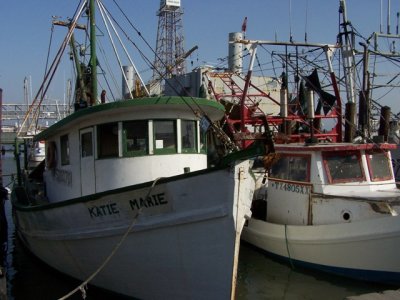 Shrimp Boats