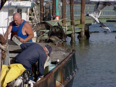 Shrimpers