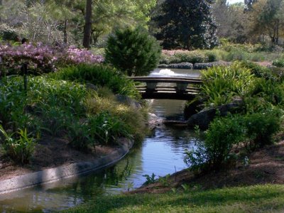 Japanese Garden at Hermann Park