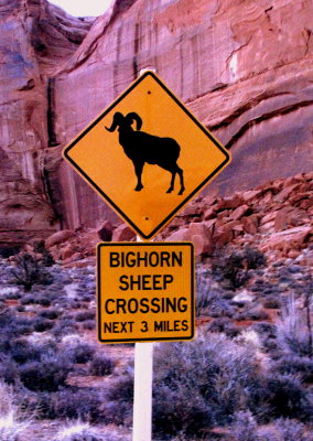 Sign in Arches N.P.
