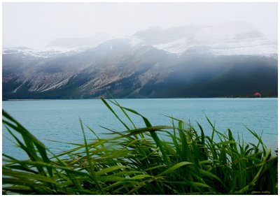 Glacier Trail, Alberta