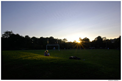 Summer Fades, Westmount Park, Montreal