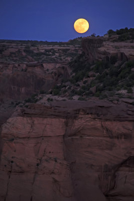 Canyon de Chelly