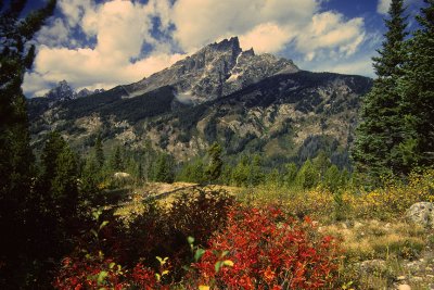 Jackson Hole Valley