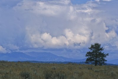 Jackson Hole Valley