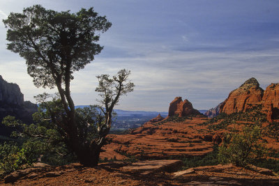 Along Schnebly Hill Road