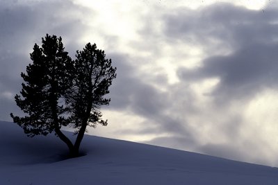 Yellowstone