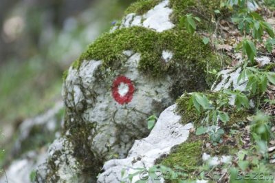 DSC_0006.jpg