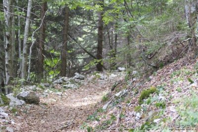 DSC_0007.jpg