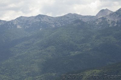 DSC_0024.jpg
