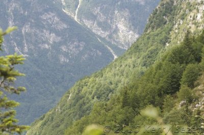DSC_0027.jpg