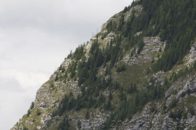 DSC_0033.jpg