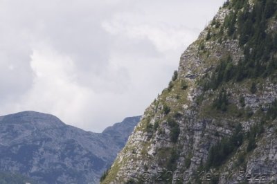 DSC_0034.jpg